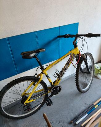 Bicicletta 