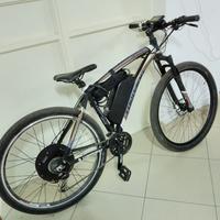 bici elettrica