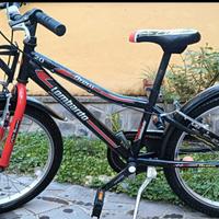 Bici Lombardo Brera numero 20