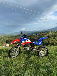 Motocross 50cc: BETA MX-12