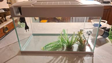 Acquario 60 litri 