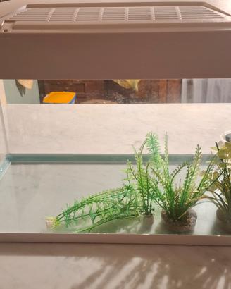 Acquario 60 litri 