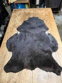 Pelle di pecora trattata