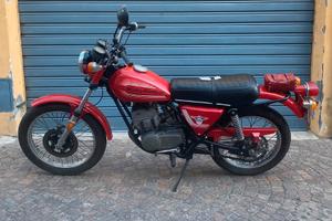 Amf harley davidson 250 sxt