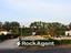 Immagine 16