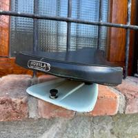 Monosella vespa 50 conservata