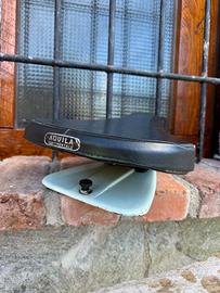 Monosella vespa 50 conservata