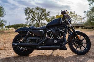 harley davidson  883