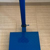 Bilancia professionale