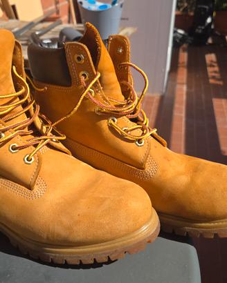 Scarponcini Timberland classici pelle scamosciata 