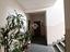 Immagine 29