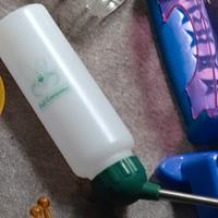 Beverini roditori degu cincillà etc