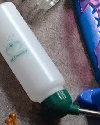 Beverini roditori degu cincillà etc