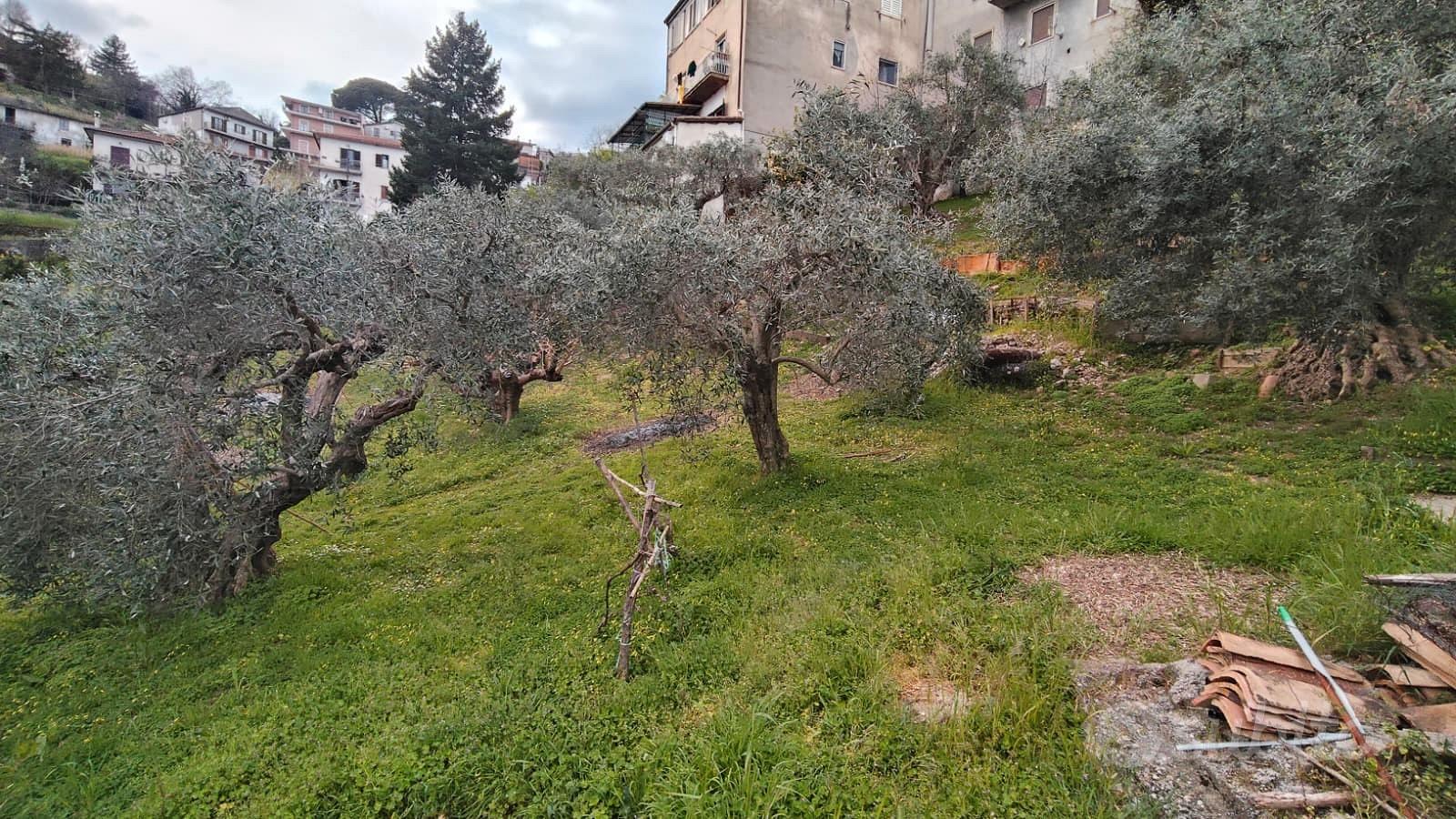 Ampio Terreno Edificabile Montalto Uffugo - Altro