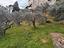 Immagine 6