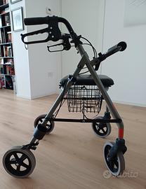 Deambulatore 