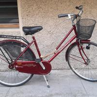 donna ragazza 26 con cestino pronta all'uso 