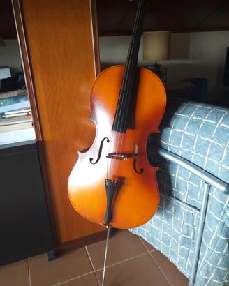 Violoncello 3/4