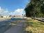 Immagine 12