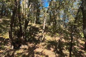 Terreno Località FUMARO (San Giovanni in Fiore)