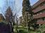 Immagine 19