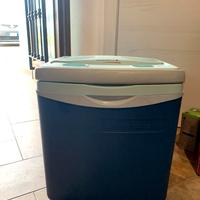 Borsa frigo da auto