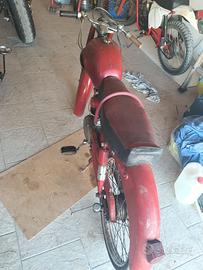 Demm Dick Dick Sport Unificato