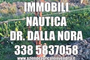Cantine con vigneti