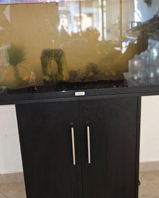 acquario