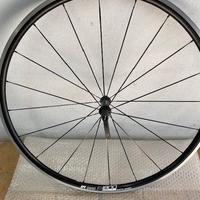 ruote DT Swiss rim