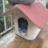 casetta per gatto