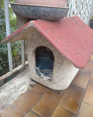 casetta per gatto