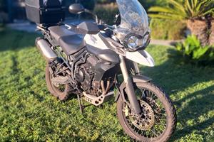 TRIUMPH TIGER XC 800