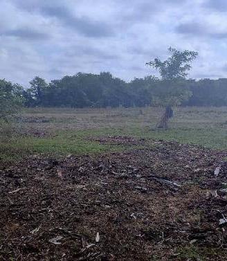 Immobile in asta di 33070 m² a Sesto al Reghena
