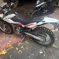 Beta alp4