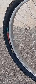 Bici MTB Donna Faema 26