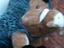 Immagine 5