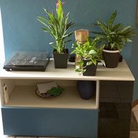 Madia / Mobile Tv - Centro Veneto del Mobile