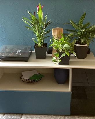 Madia / Mobile Tv - Centro Veneto del Mobile