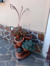 Vaso a livelli con piante grasse 