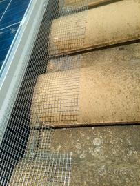 Rete antipiccioni. Piccioni stop