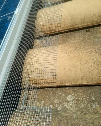 Rete antipiccioni. Piccioni stop