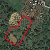 Vendita terreno agricolo