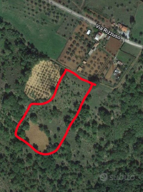 Vendita terreno agricolo