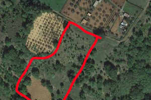 Vendita terreno agricolo