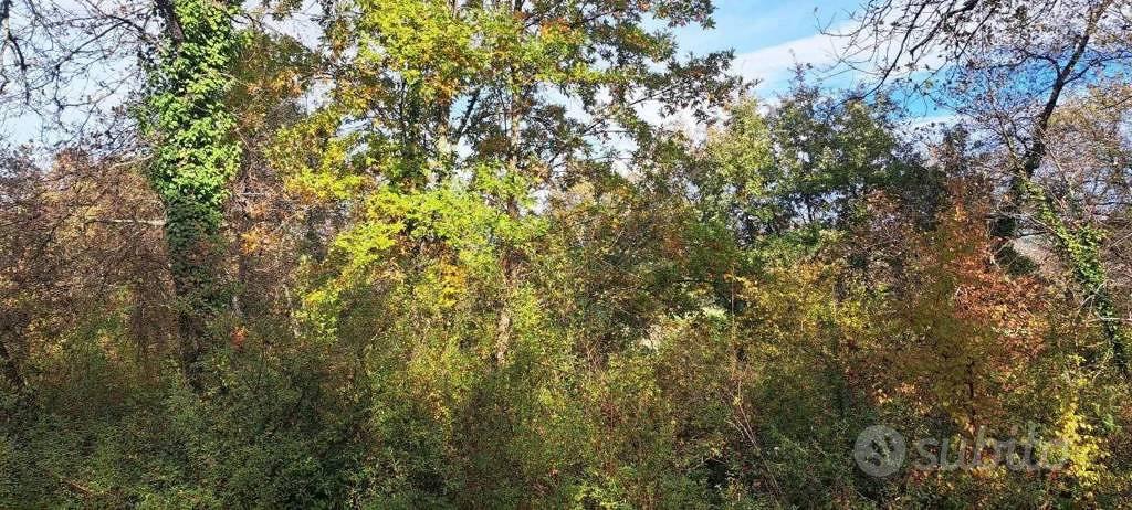 Immobile in asta di 9190 m² a Rapolano Terme - Vista 3