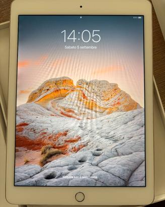 iPAD Air 2(A1566) Wi-Fi 256GB custodia Smart Folio