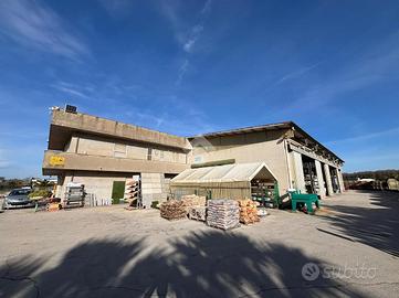 COMPLESSO A SABAUDIA