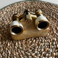 Binocolo Gemini