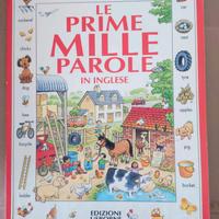 Libro Le prime mille parole in inglese-Ed. Usborne